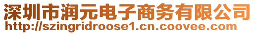 深圳市润元电子商务有限公司