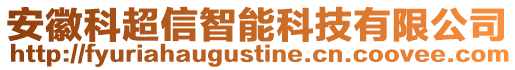 安徽科超信智能科技有限公司