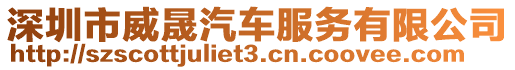 深圳市威晟汽車服務(wù)有限公司