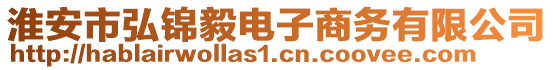 淮安市弘錦毅電子商務(wù)有限公司