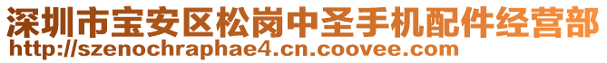 深圳市寶安區(qū)松崗中圣手機配件經(jīng)營部