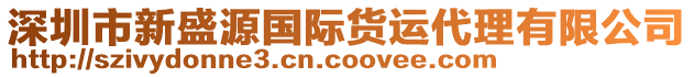 深圳市新盛源國際貨運代理有限公司