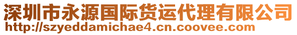 深圳市永源國際貨運代理有限公司