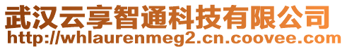 武汉云享智通科技有限公司