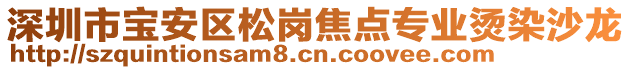 深圳市寶安區(qū)松崗焦點專業(yè)燙染沙龍