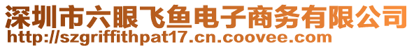 深圳市六眼飛魚電子商務有限公司