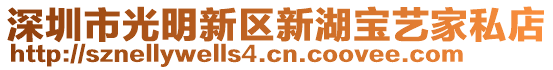 深圳市光明新區(qū)新湖寶藝家私店