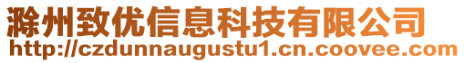 滁州致优信息科技有限公司