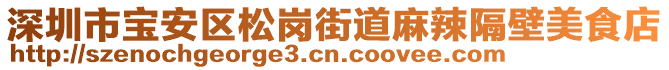 深圳市寶安區(qū)松崗街道麻辣隔壁美食店