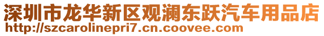 深圳市龍華新區(qū)觀瀾東躍汽車用品店