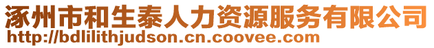 涿州市和生泰人力資源服務(wù)有限公司