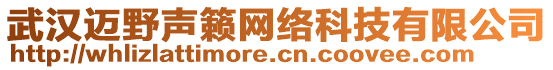 武漢邁野聲籟網(wǎng)絡科技有限公司