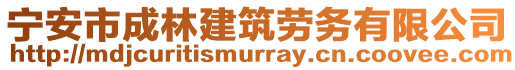 寧安市成林建筑勞務(wù)有限公司