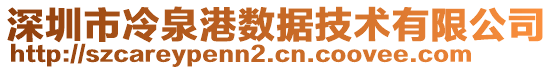 深圳市冷泉港数据技术有限公司