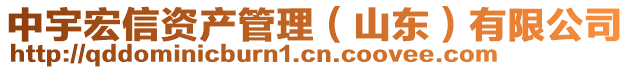 中宇宏信資產(chǎn)管理（山東）有限公司