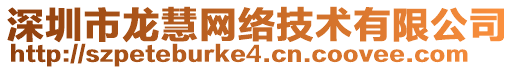 深圳市龍慧網(wǎng)絡(luò)技術(shù)有限公司