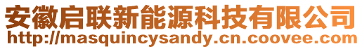 安徽啟聯(lián)新能源科技有限公司