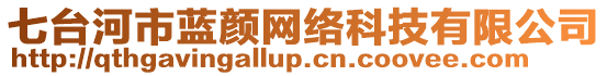 七臺(tái)河市藍(lán)顏網(wǎng)絡(luò)科技有限公司