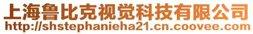 上海魯比克視覺科技有限公司