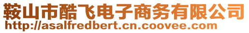 鞍山市酷飞电子商务有限公司