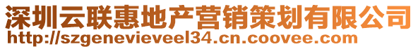 深圳云聯(lián)惠地產(chǎn)營銷策劃有限公司