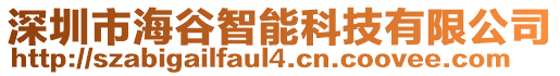 深圳市海谷智能科技有限公司