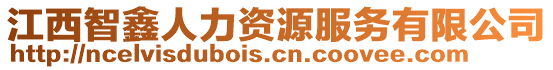 江西智鑫人力資源服務(wù)有限公司