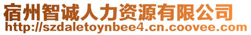 宿州智誠人力資源有限公司