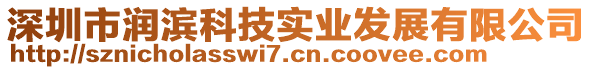 深圳市潤濱科技實業(yè)發(fā)展有限公司