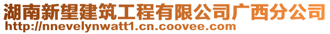 湖南新望建筑工程有限公司廣西分公司