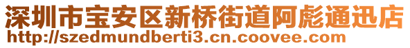 深圳市寶安區(qū)新橋街道阿彪通迅店