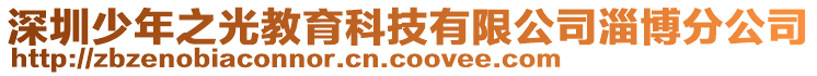 深圳少年之光教育科技有限公司淄博分公司