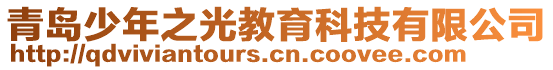 青島少年之光教育科技有限公司