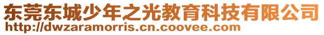 東莞東城少年之光教育科技有限公司