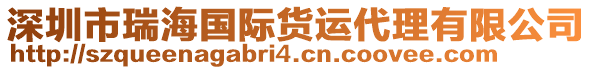 深圳市瑞海國際貨運(yùn)代理有限公司