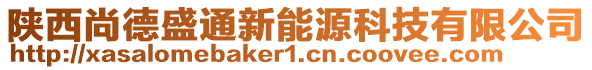 陕西尚德盛通新能源科技有限公司