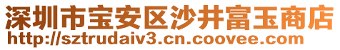 深圳市寶安區(qū)沙井富玉商店