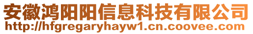 安徽鴻陽陽信息科技有限公司