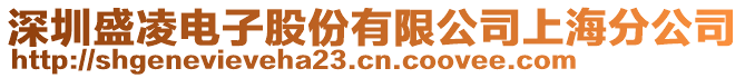 深圳盛凌電子股份有限公司上海分公司