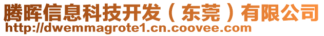 騰暉信息科技開發(fā)（東莞）有限公司