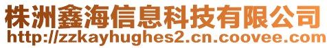 株洲鑫海信息科技有限公司