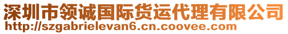 深圳市領(lǐng)誠國際貨運(yùn)代理有限公司