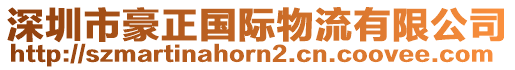 深圳市豪正國際物流有限公司