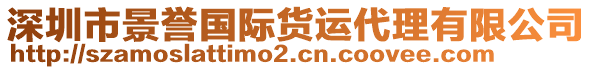 深圳市景譽國際貨運代理有限公司