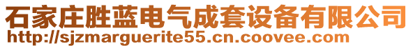 石家莊勝藍(lán)電氣成套設(shè)備有限公司