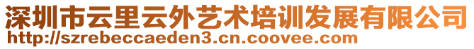 深圳市云里云外艺术培训发展有限公司