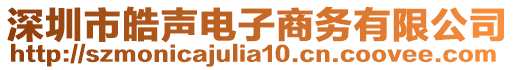 深圳市皓聲電子商務(wù)有限公司