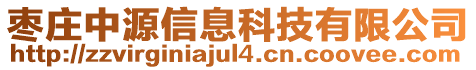 棗莊中源信息科技有限公司