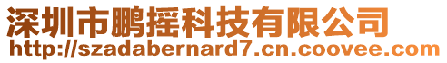 深圳市鵬搖科技有限公司