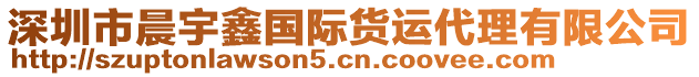 深圳市晨宇鑫國際貨運(yùn)代理有限公司